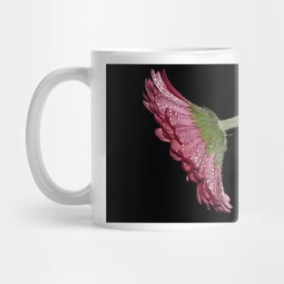 Pink Gerbera Daisy Mug